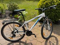 Fahrrad 26 Zoll Schleswig-Holstein - Schleswig Vorschau