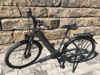 E-bike Planet 5.8 Wave L 53cm Baden-Württemberg - Limbach Vorschau