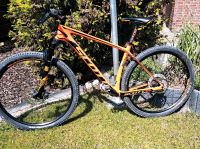 Scott scale 935 Carbon Herren Mountainbike Niedersachsen - Sachsenhagen Vorschau