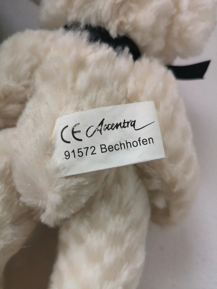 2 süße Teddy's in Reinfeld