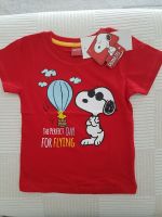 neu! PEANUTS, T-Shirt, 100% Cotton, super Qualität, 92 Nordrhein-Westfalen - Hückelhoven Vorschau