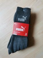 Puma Socken Regular Crew grau EU 39-42 Soft Cotton Baumwolle Niedersachsen - Isernhagen Vorschau