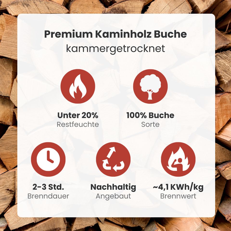 ✅ Brennholz & Kaminholz kaufen ✓ beste Qualität ✓ Buche trocken in Berlin