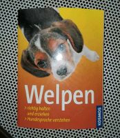 Buch Welpen Brandenburg - Fürstenwalde (Spree) Vorschau