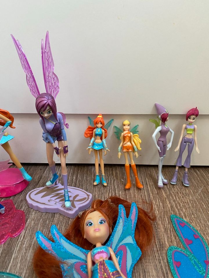 Winx Club Mini Puppen in Rösrath