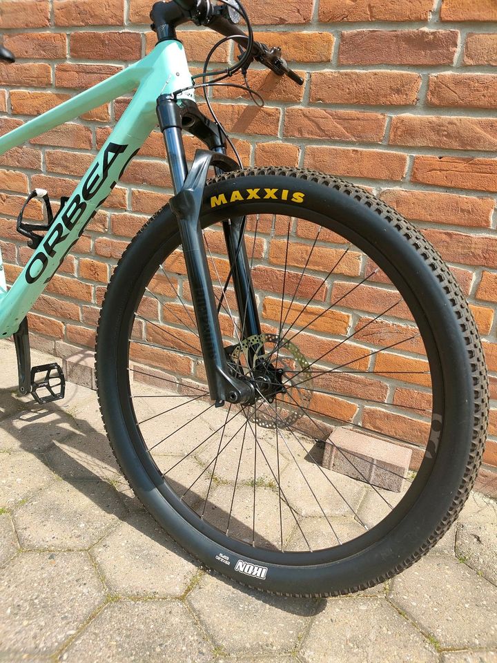 Orbea Alma Hardtail M 50,  29" Rahmen Größe M in Meinersen