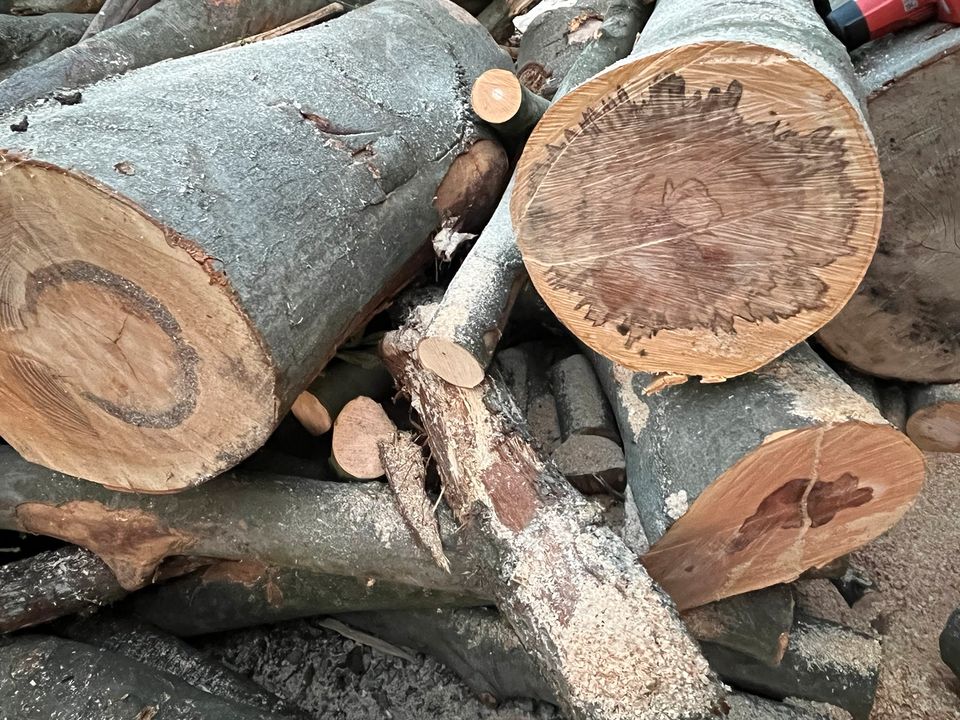 Brennholz Buche Kaminholz Ofenholz Holz 115,- / SRM vorgelagert in Rees