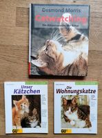 Catwatching Körpersprache der Katze, Kätzchen, Wohnungskatze Bayern - Regensburg Vorschau