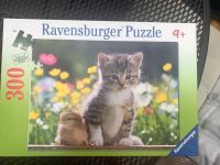 Ravensburger Puzzle Katze 300 Teile Nordrhein-Westfalen - Paderborn Vorschau