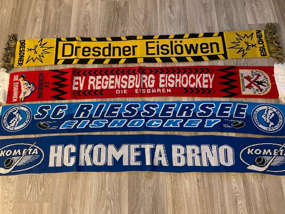 Eishockey Schal verschiedene Vereine in Hohenstein-Ernstthal
