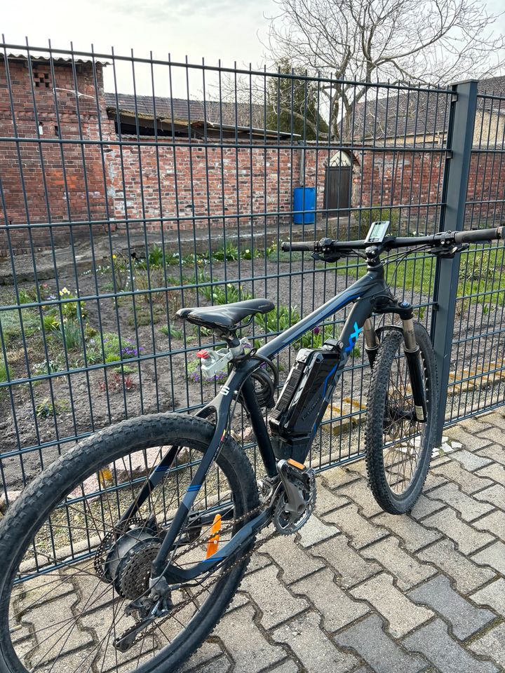 E Bike der Marke saxxx in Herzberg/Elster