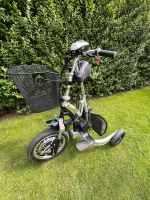 EWO LIFE elektrischer Rollator Gehilfe Dreirad E-Rad Camping Schleswig-Holstein - Herzhorn Vorschau