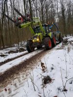 Brennholz Transport Nordrhein-Westfalen - Lügde Vorschau