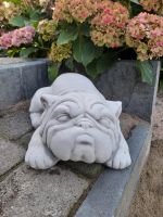 Gartenfigur Hund Bulldogge Neue Niedersachsen - Bleckede Vorschau