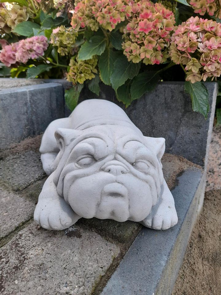 Gartenfigur Hund Bulldogge Neue in Bleckede