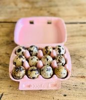 Wachtel-Eier aus Bio-Haltung Köln - Porz Vorschau