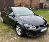 VW Golf 7 1.6 TDI Brandenburg - Zossen Vorschau