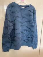 Pullover Sweatshirt H&M Gr. 134/140 Dinodruck Niedersachsen - Walchum Vorschau