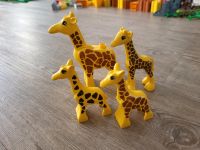 Lego Duplo Giraffenfamilie Nordrhein-Westfalen - Willich Vorschau