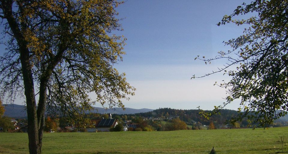 Ferienhaus/Wohnung in Spiegelau am Nationalpark Bayerischer Wald in Spiegelau