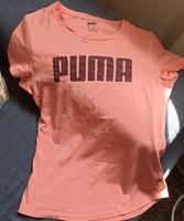 T-Shirt, Damen, Puma Rheinland-Pfalz - Wissen Vorschau