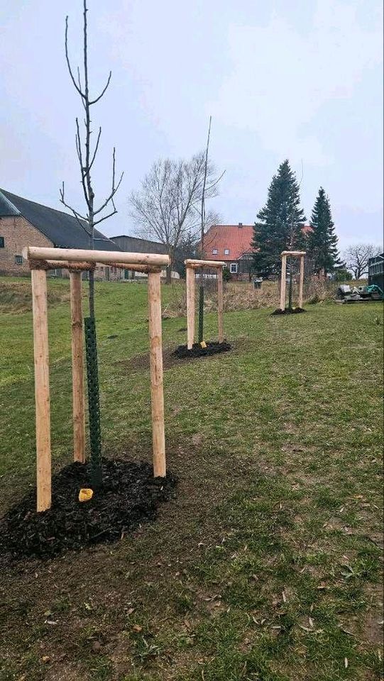 Gartengestaltung, Gartenpflege,Heckenschnitt,Baumschnitt, Gärtner in Rostock