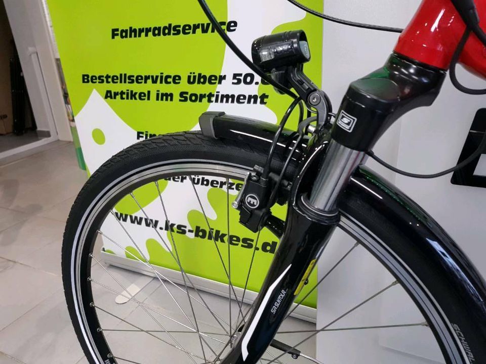 Reptila 1000 Bosch Active Line Nexus E-Bike Pedelec Cityrad in Bottrop