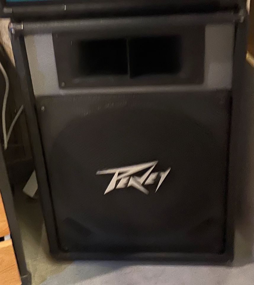 PEAVEY Musikerbox 6 Stück HiFi geeignet guter Sound. in Harsewinkel - Marienfeld