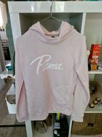 Puma/ Adidas Gr S Neu ! Damen Mädchen Hoody Hamburg-Nord - Hamburg Barmbek Vorschau
