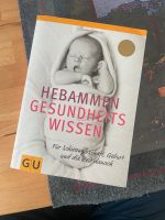 Hebammen Gesundheitswissen NEU Schwangerschaft Geburt Buch Hessen - Offenbach Vorschau