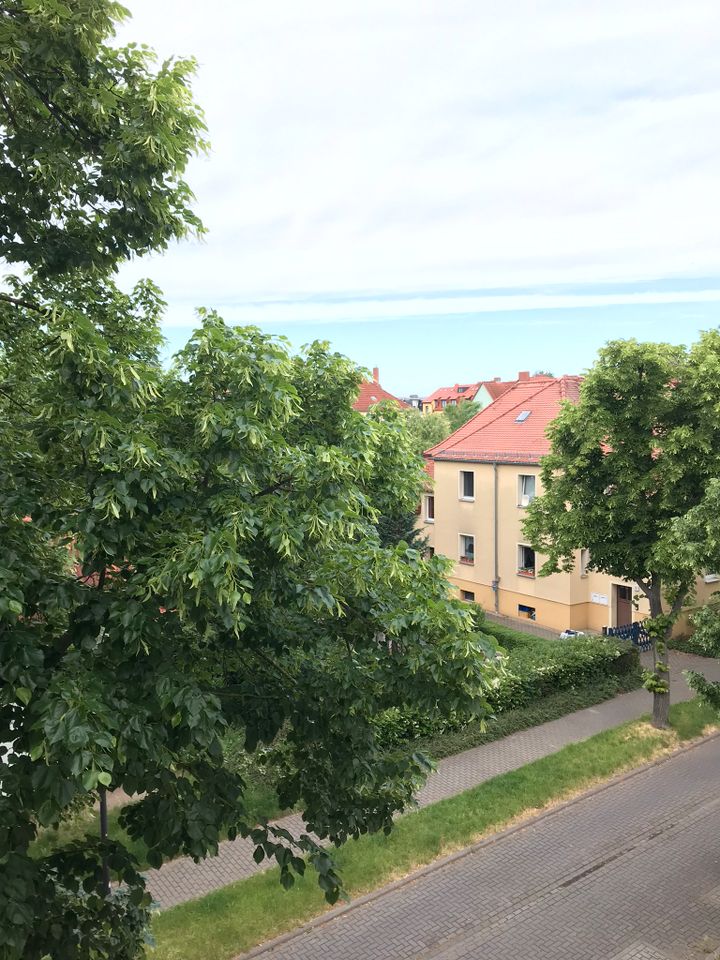 Große 3-Raum Wohnung mit Tageslichtbad in Bitterfeld