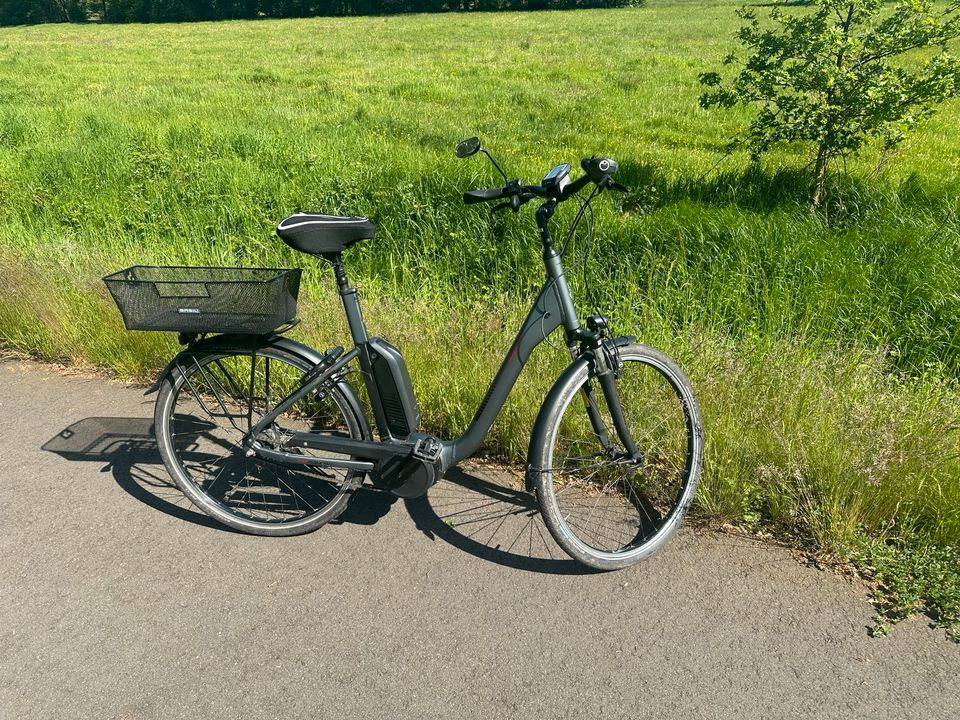 E-Bike Raleigh Kingston 8 RT 60 CM in Ottersberg