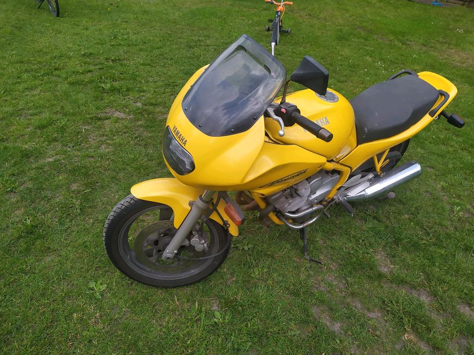 Yamaha Diversion XJ 600 in Grimmen