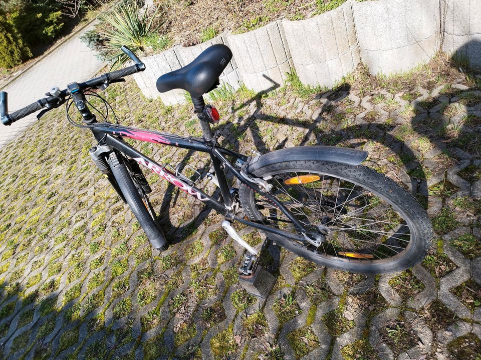 Fahrrad für Offroad in Freital