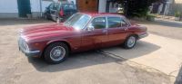 Jaguar xjs Nordrhein-Westfalen - Minden Vorschau