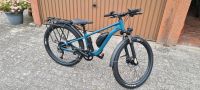 E Bike elektro Fahrrad Niedersachsen - Papenburg Vorschau