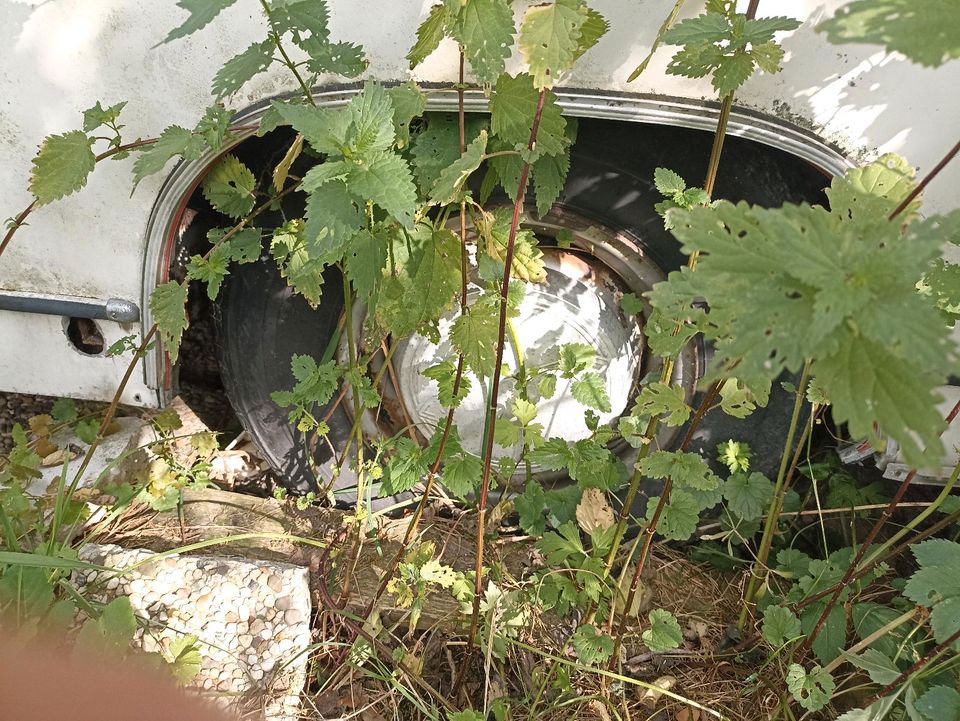 TABBERT Wohnwagen (Ruine) zu verschenken in Soest