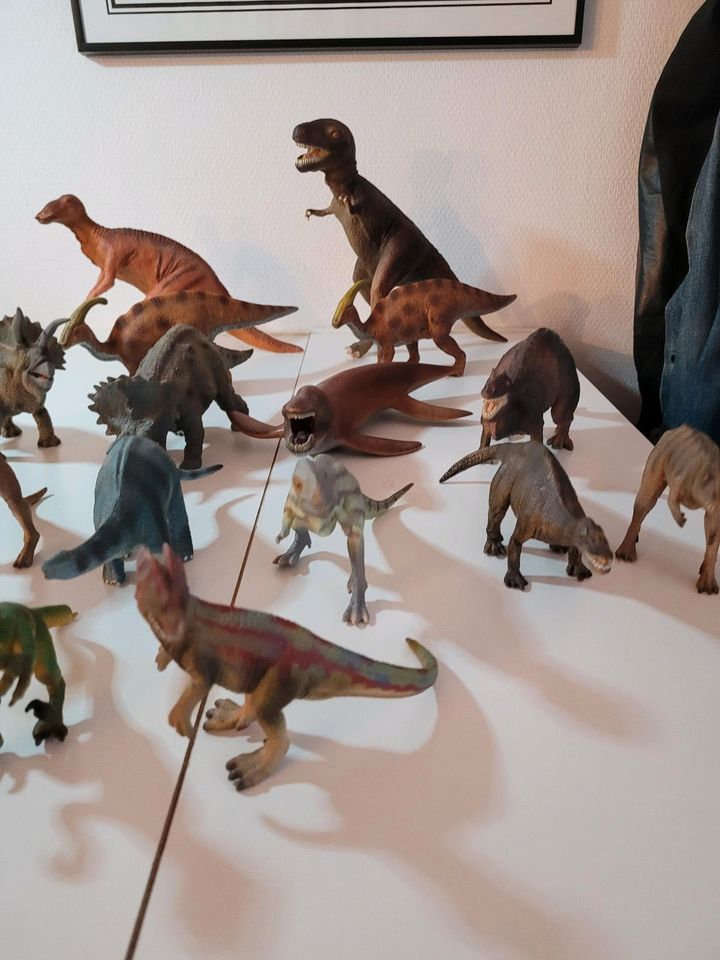 Schleich, Dinosaurier, Tiere, T-Rex, 18 Stück in Frankfurt am Main