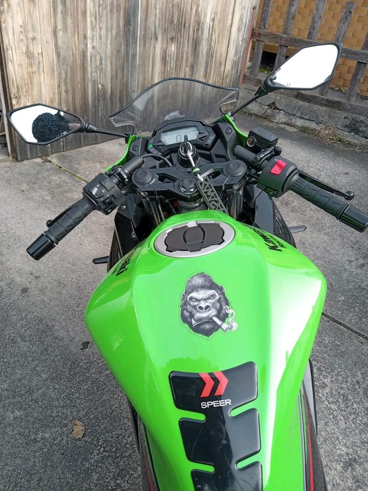 Kawasaki Ninja 125 in Reutlingen