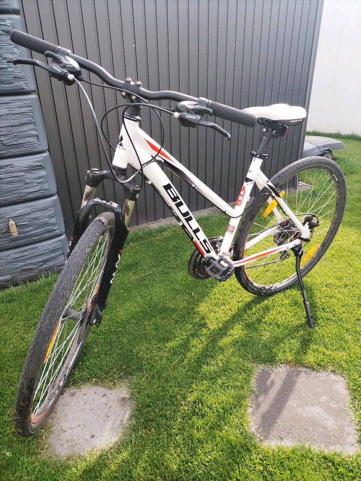 Bulls Wildcross 28 Zoll Damenfahrrad Trekking **TOP** in Neustadt b.Coburg