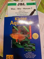 Kleine Aquariumfische Bayern - Traunstein Vorschau