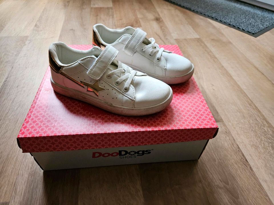 DooDogs Kinder Turnschuhe,Sneaker Gr.32 in Stralsund