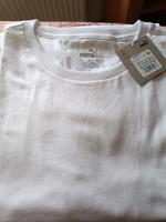 Puma Shirt Sachsen - Kamenz Vorschau