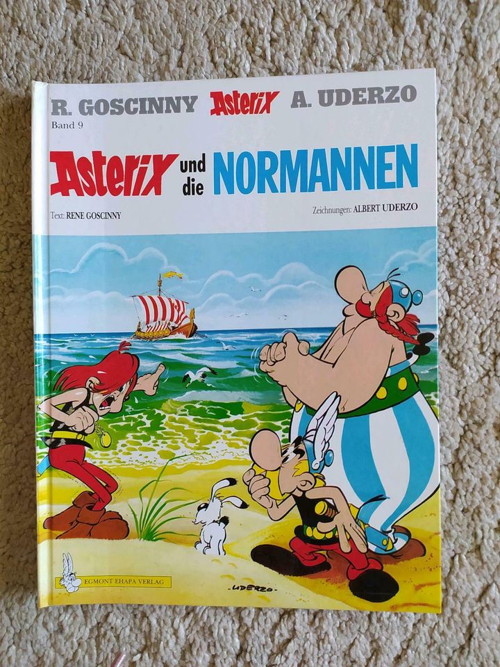 Asterix und Obelix diverse Ausgaben in Hamburg