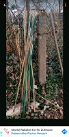 Bambusstäbe zwischen Pflanzen 0,50 Cent  .1,50 m Bayern - Straubing Vorschau