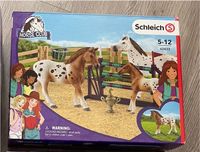 schleich 42433 HORSE CLUB Lisas Turnier-Training Hessen - Fuldabrück Vorschau