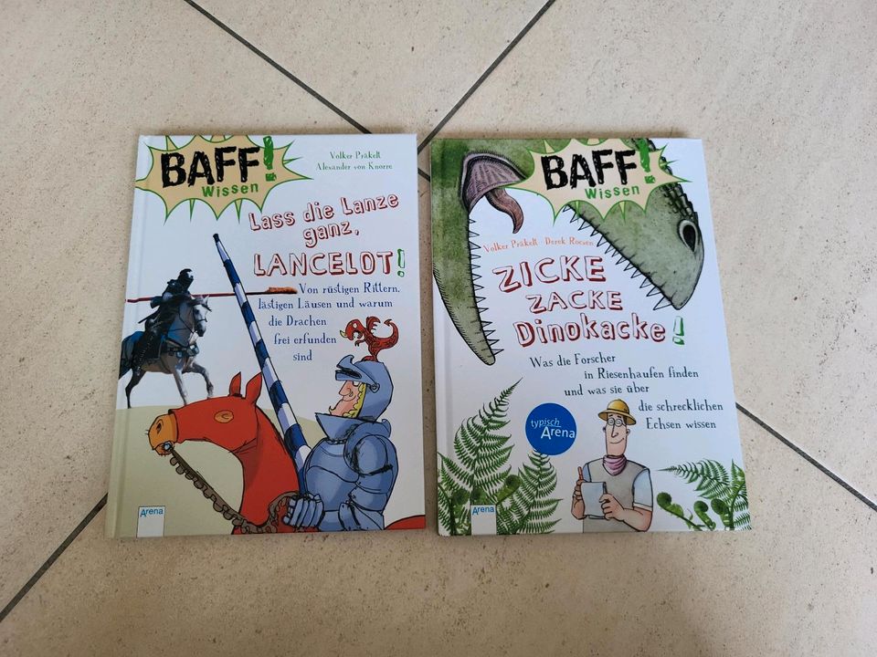 Baff Wissen Dinosaurier Ritter Zicke Zacke Dinokacke Buch in Hilden