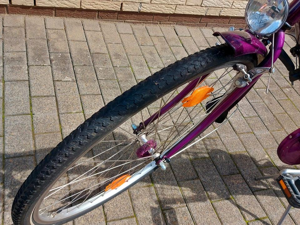 Damen Fahrrad Kettler Alurad in Delligsen