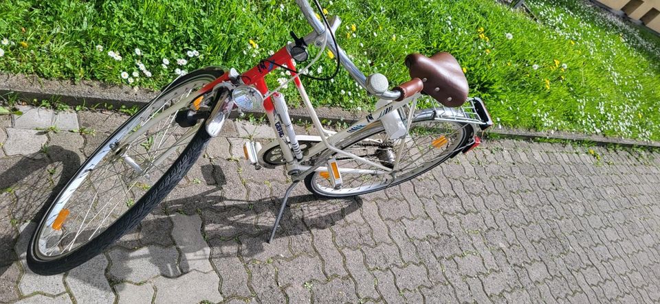 Damen Fahrrad in Frankenthal (Pfalz)