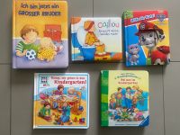 Kinderbücher Caillou, Paw Patrol, Kindergarten Großer Bruder Bayern - Hausen bei Würzburg Vorschau